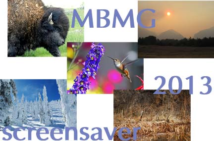 MBMG 2013 Screensaver