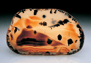 Montana agate