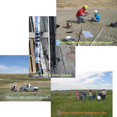 anvironmental assesment projects