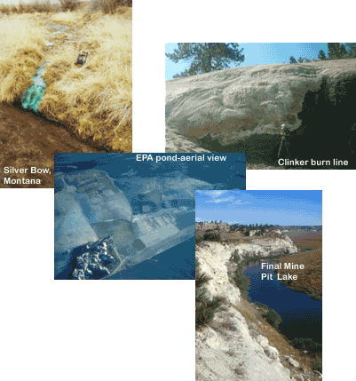 anvironmental assesment projects
