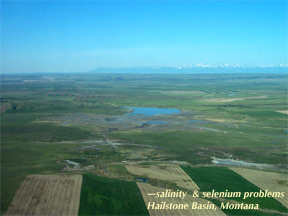 Hailstone Basin, Motnana-salinity&selenium problems
