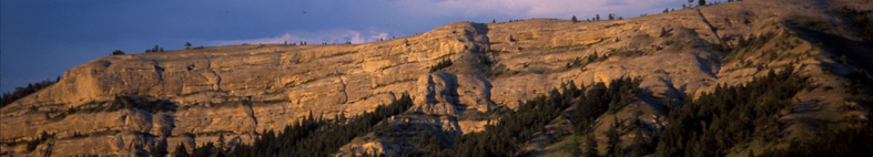 Montana Bureau of Mines and Geology