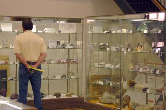 mineral museum display