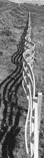 1959 Yellowstone quake