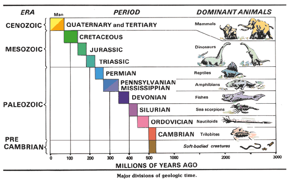 formation of the earth  timeline