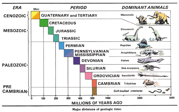 geological time scale activity. Geologic time, from the