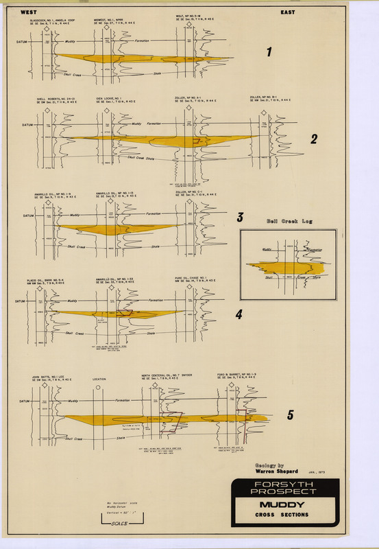 Forsyth Prospect Muddy Cross Sections 1 through 5
