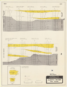 Forsyth Prospect Muddy Cross Sections 8 and 9