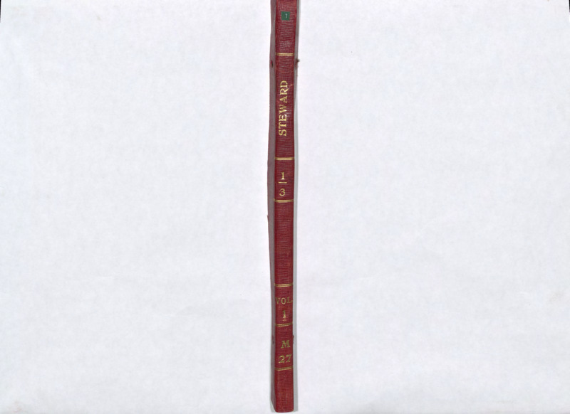 M27 Vol. 1 Steward