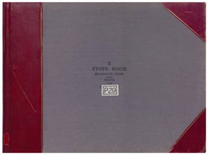 P29 Vol.2 Diamond North