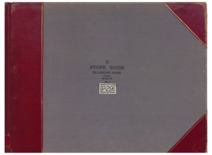 P29 Vol. 3 Diamond North