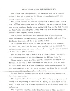 item thumbnail for Report on the Little Mint Mining Company