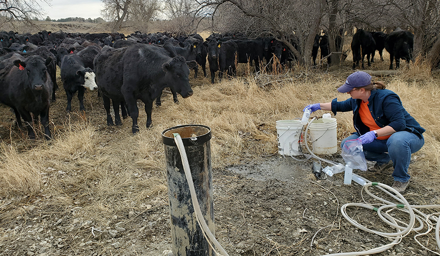 Water-quality sampling used to determine aquifer chemistry and the effects of increased residential and agricultural changes on water quality.