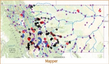 Web Mapping Application