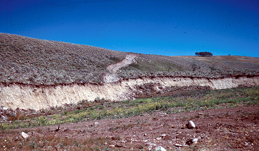 1959 Hebgen Lake Earthquake Fault Scarp