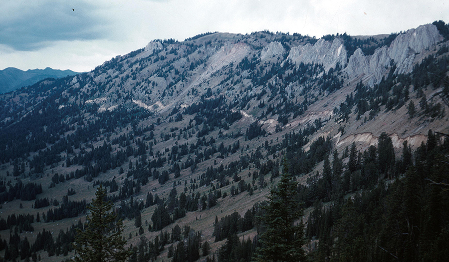 1959 Red Canyon Fault Scarp